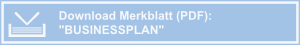 Businessplan S